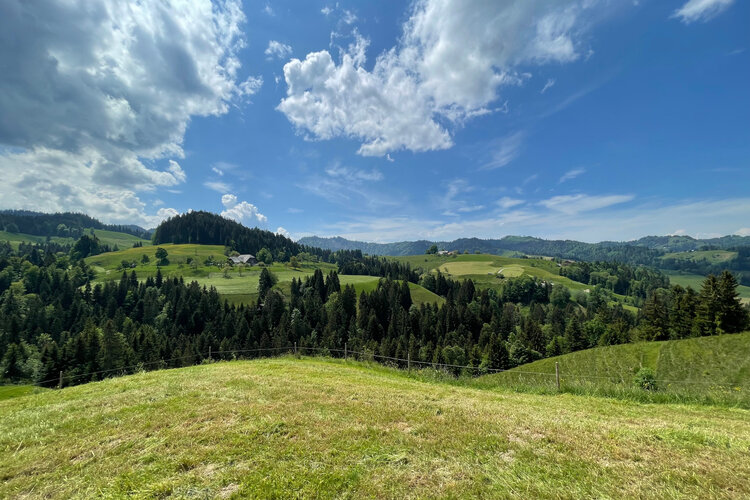 Umsetzung klare und attraktive Besucherlenkung im Luthertal